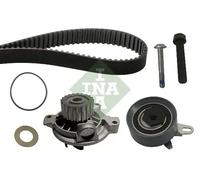 INA 530 0172 30 Water pump and timing belt kit