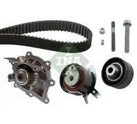 Timing Belt Kit + Water Pump 530 0489 30 INA for PEUGEOT LAND ROVER CITROËN FORD