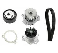 INA Water Pump & Timing Belt Kit 530 0663 30 - Fits LADA Granta, Priora, Kalina, Largus