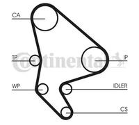 CONTITECH CT1037WP1 Water pump and timing belt kit