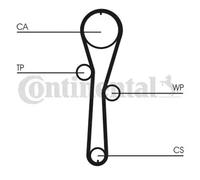 CONTITECH CT1045WP1 Water pump and timing belt kit
