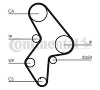 Timing Belt Kit + Water Pump CT1061WP3 CONTINENTAL CTAM for CITROËN PEUGEOT FIAT