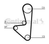 CONTITECH CT1067WP1 Water pump and timing belt kit