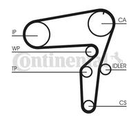 CONTITECH CT1076WP1 Water pump and timing belt kit