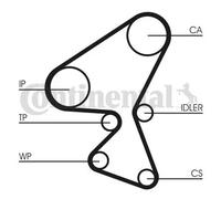 CONTITECH CT1104WP1 Water pump and timing belt kit