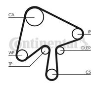 Timing Belt Kit + Water Pump CT1136WP1 CONTINENTAL CTAM for MAZDA 6 Hatchback 5