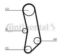 Timing Belt Kit + Water Pump CT503WP1 CONTINENTAL CTAM for FIAT LANCIA