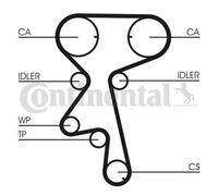 CONTITECH CT873WP1 Water pump and timing belt kit