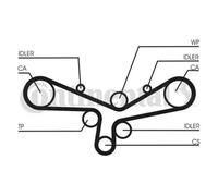 CONTITECH CT920WP2 Water pump and timing belt kit