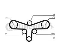 CONTITECH CT920WP4 Water pump and timing belt kit