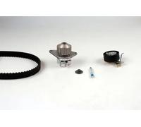 Hepu Water Pump & Timing Belt Kit PK08461 / HEPPK08461 - Fits Peugeot, Citroën, Fiat - 4x