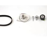 Hepu Timing Belt Kit & Water Pump PK09580 for Renault, Nissan, Suzuki
