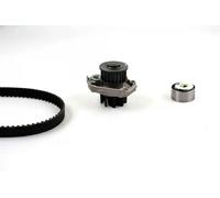 2x ✅Fits HEPU HEPPK12011 Water Pump & Timing Belt Kit HEPPK12011 Tim ⭐UK Seller⭐