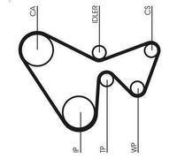 Timing belt se CONTITECH CT1230K1 for FORD FOCUS IV (HN) 1.5 2018-2025
