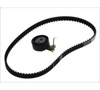 Continental CT1066K1 Timing Belt Kit Fits Citroen C2 Enterprise Saxo C3 1 2