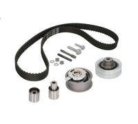 Timing belt set INA 530 0082 10 for AUDI A3 (8L1) 1.9 1996-2001