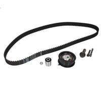 Timing belt set INA 530 0085 10 for VW VENTO (1H2) 1.9 1991-1998