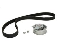 Timing belt set INA 530 0171 10 for AUDI A3 (8L1) 1.6 2000-2003