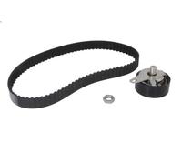 Timing belt set INA 530 0202 10 for AUDI A4 B6 (8E2) 2.5 2001-2002