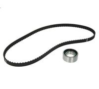 Timing belt set INA 530 0204 10 for FIAT PUNTO (176_) 1.2 1993-1999