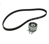 Timing belt set INA 530 0221 10 for FIAT BRAVO I (182_) 1.4 1995-2001