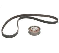 Timing belt set INA 530 0392 10 for AUDI A6 C4 (4A2) 2 1994-1995