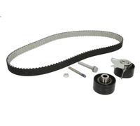 Timing belt set INA 530 0489 10 for CITROEN C6 (TD_) 2.2 2006-2010