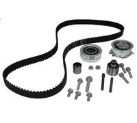 Timing belt set INA 530 0550 10 for AUDI A3 (8P1) 2 2003-2012