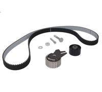 Timing belt set INA 530 0561 10 for LANCIA MUSA (350_) 1.6 2008-2012