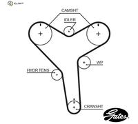 GATES T257 Timing Belt