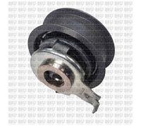 Timing Belt Tensioner QTT1330 Quinton Hazell 05E109479 04E109479N 04E109479P New