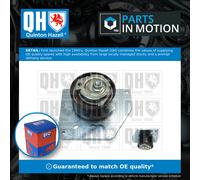 QUINTON HAZELL QTT1230 Timing belt tensioner pulley