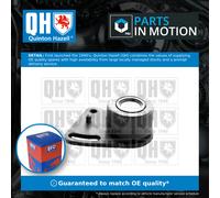 Timing Belt Tensioner QTT155 Quinton Hazell 1496915 70HM6K254A2D Quality New
