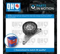 Quinton Hazell QTT523 Timing Belt Tensioner