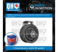 Timing Belt Tensioner QTT960 Quinton Hazell 058109243C 058109243E 058121243C New