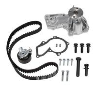 INA 530 0495 30 Water pump and timing belt kit