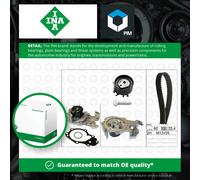 INA 530 0195 30 Water pump and timing belt kit