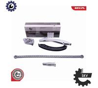 TIMING CHAIN KIT 21SKV133 FOR BMW 5/E60/X/E70/E66/E67/E61/E3 X5/E53 N62B36 3.6L