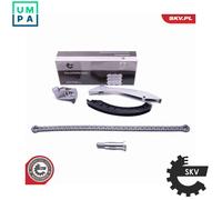 TIMING CHAIN KIT 21SKV133 FOR BMW 5/E60/X/E70/E66/E67/E61/E3 X5/E53 N62B36 3.6L