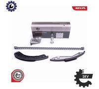 TIMING CHAIN KIT 21SKV134 FOR BMW 5/E60/X/E70/E66/E67/E61/E3 X5/E53 N62B36 3.6L