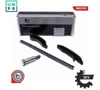 ESEN SKV 21SKV249 Timing chain kit
