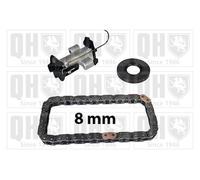 Timing Chain Kit Fits Citroen C3 DS Ford Peugeot Vauxhall QUINTON HAZELL QCK135
