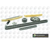 Timing Chain Kit Fits Land Rover Defender Discovery BGA TC4213FK