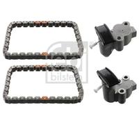 Febi Bilstein 106629 Timing Chain Set for Camshaft with Slide Rail 1 Piece