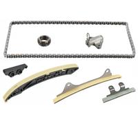 Febi Bilstein 108346 Timing Chain Set for Camshaft, with Slide Rails and Chain Tensioner, 1 Piece
