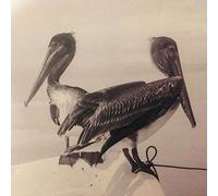 Timo Kämäräinen - Blink And You Miss It