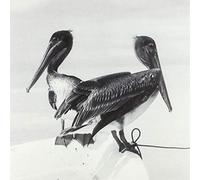 Timo Kämäräinen - Blink And You Miss It (LP) [VINYL]