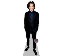 Timothee Chalamet Mini Size Cutout