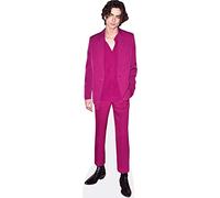Timothee Chalamet (Purple Suit) Mini Size Cutout