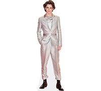 Timothee Chalamet (Silver Suit) Mini Size Cutout